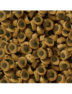 SERA REPTIL PROFESSIONAL HERBIVOR NATURE 250 ML (80 GR) - 2 2