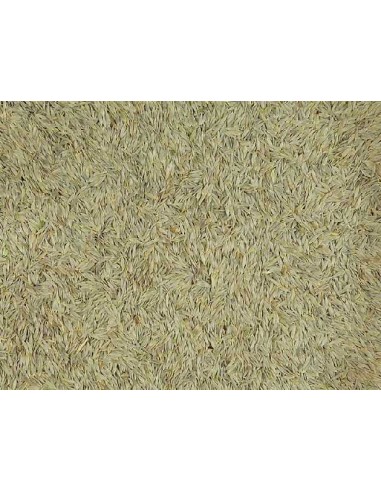 GALIAN COGASA LECHUGA BLANCA GALIAN - 700 GR 700 GR - 2