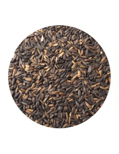 PET CUP PIPA MICRO 750 GR 1 KG (GRANEL) - 2