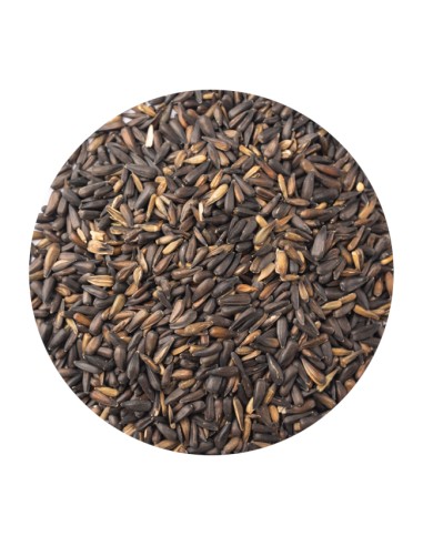 PET CUP PIPA MICRO 750 GR 1 KG (GRANEL) - 2