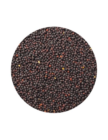 PET CUP COLZA 1 KG (GRANEL)