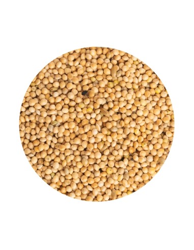 PET CUP MIJO BLANCO 1 KG (GRANEL)