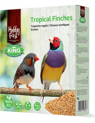 HOBBYFIRST HOBBY FIRST KING MEZCLA PÁJAROS EXÓTICOS - 1 KG 1 KG - 2