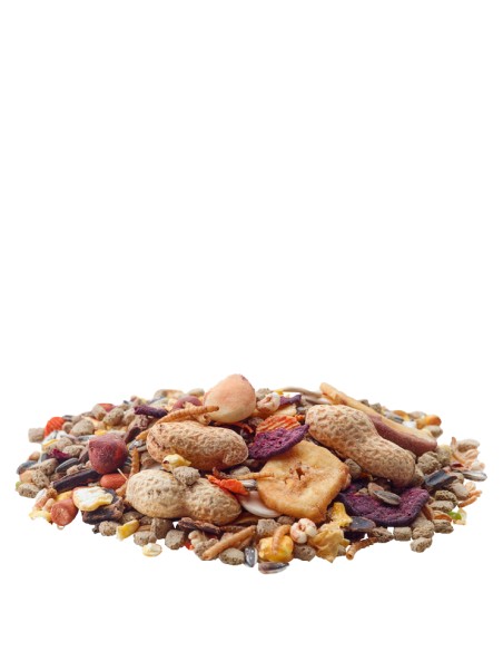 VERSELE LAGA CHIP NATURE ARDILLA - 750 GR 750 GR - 2