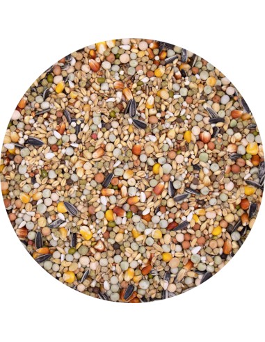 VERSELE LAGA PLUS I.C. MUTINE MUDA - 20 KG 20 KG - 2