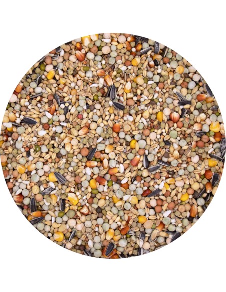 VERSELE LAGA PLUS I.C. MUTINE MUDA - 20 KG 20 KG - 2