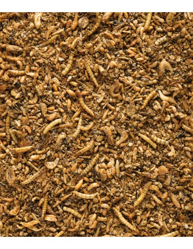 VERSELE LAGA ORLUX UNI PATEE PREMIUM PARA INSECTIVOROS - 5 KG 5 KG - 2