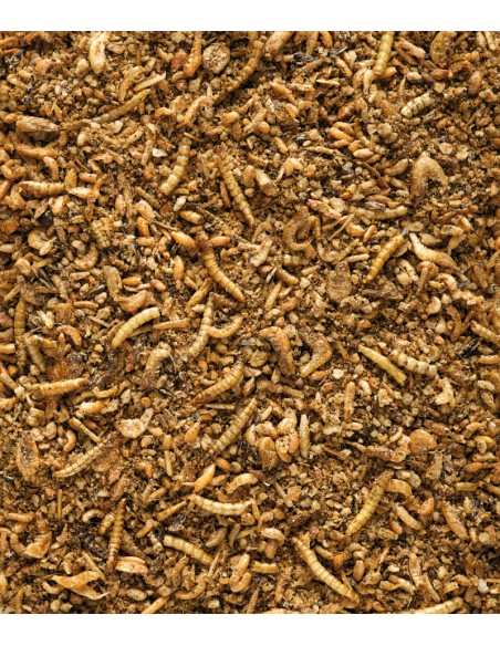 VERSELE LAGA ORLUX UNI PATEE PREMIUM PARA INSECTIVOROS - 5 KG 5 KG - 2