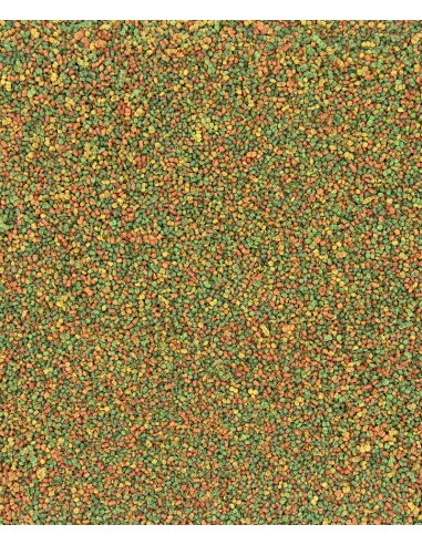 VERSELE LAGA NUTRIBIRD CANARIO C15 MANTENIMIENTO 3 KG 10 KG 1 KG - 2