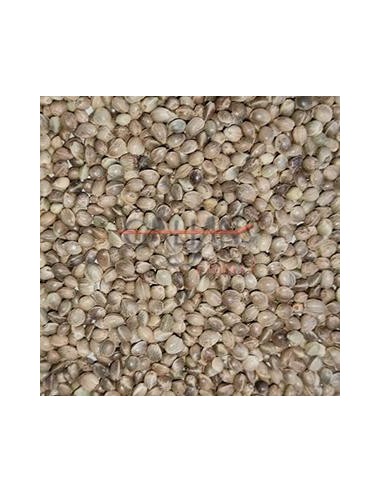 GALIAN COGASA CAÑAMON GIGANTE GALIAN - 25 KG 25 KG - 2