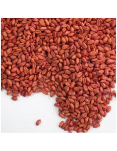 IMPEX EUROPA RATIBROM 2 CEREALES - 150 GR 150 GR - 2 2