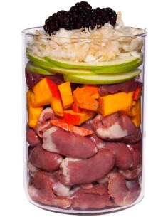 TERRA CANIS GRAIN FREE POLLO CON CHIRIVIA, MORA Y DIENTE DE LEÓN, SIN CEREALES - 400 GR 400 GR - 2 2