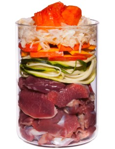 TERRA CANIS LIGHT LATA PARA PERROS POLLO CON CALABACÍN, PAPAYA Y ESCARAMUJO - 400 GR 400 GR - 2 2