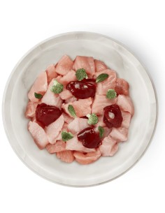 TERRA FELIS GRAIN FREE LATA DE PAVO - 80 GR 80 GR - 2 2