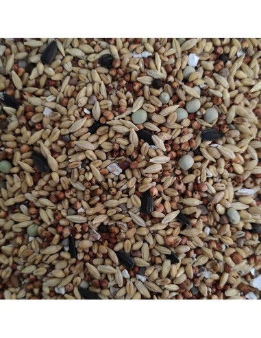 GALIAN COGASA MIXTURA MANTENIMIENTO N. 1 PALOMOS DEPORTIVOS - 20 KG 20 KG - 3