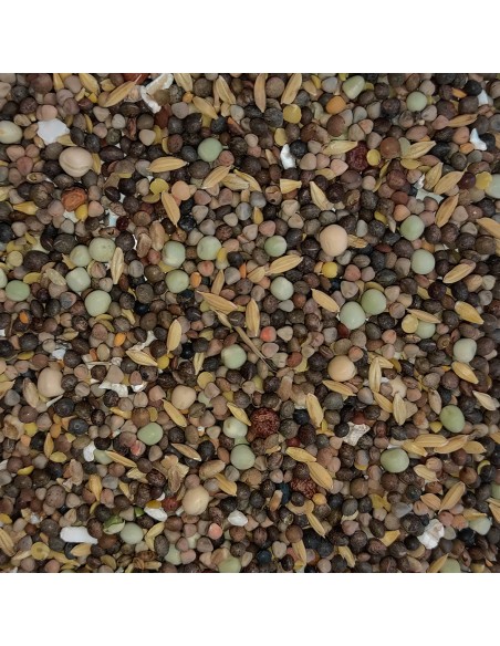 GALIAN COGASA MIXTURA ESPECIAL N. 3 PALOMOS DEPORTIVOS - 20 KG 20 KG - 3