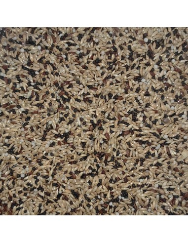 GALIAN COGASA MIXTURA CANARIOS ESPECIAL PROFESIONAL - 20 KG 20 KG - 3