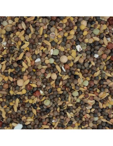 GALIAN COGASA MIXTURA ESPECIAL N.3 SIN YEROS PARA PALOMOS - 20 KG 20 KG - 2