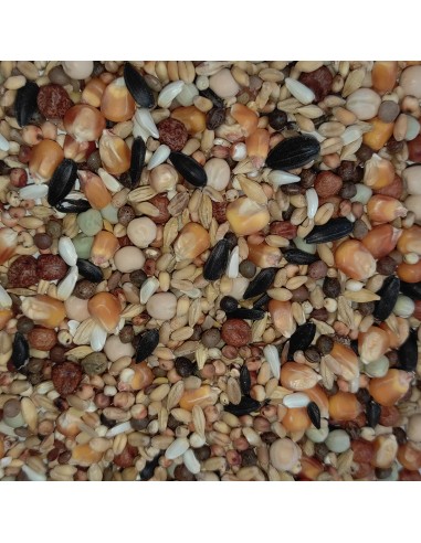 GALIAN COGASA MIXTURA M1 MUDA Y REPOSO PALOMAS MENSAJERAS - 20 KG 20 KG - 2