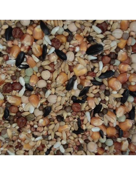 GALIAN COGASA MIXTURA M1 MUDA Y REPOSO PALOMAS MENSAJERAS - 20 KG 20 KG - 2