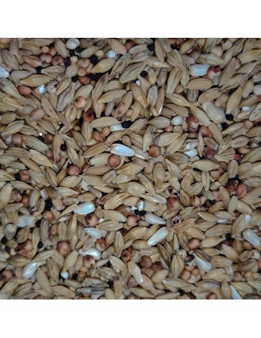 GALIAN COGASA MIXTURA M7 DEPURATIVA PALOMAS MENSAJERAS - 20 KG 20 KG - 2