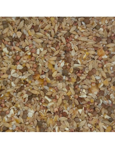 GALIAN COGASA MIXTURA GALLINAS DE CORRAL GALIAN - 20 KG 20 KG - 2