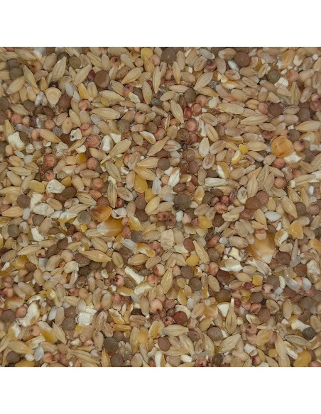 GALIAN COGASA MIXTURA GALLINAS DE CORRAL GALIAN - 20 KG 20 KG - 2