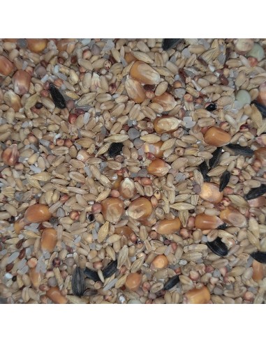 GALIAN COGASA MIXTURA GALLO INGLES CRIA Y MUDA GALIAN - 20 KG 20 KG - 2