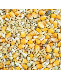 GALIAN COGASA MIXTURA GALLO INGLES MANTENIMIENTO GALIAN - 20 KG 20 KG - 3 2