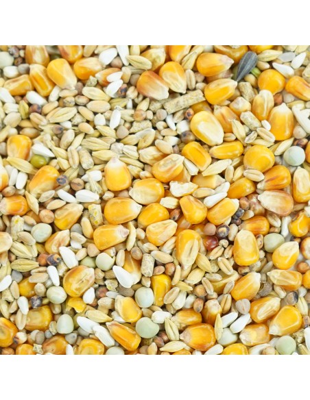 GALIAN COGASA MIXTURA GALLO INGLES MANTENIMIENTO GALIAN - 20 KG 20 KG - 2