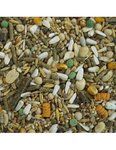 GALIAN COGASA MIXTURA HAMSTER Y ARDILLAS GALIAN 4 KG 20 KG 800 GR (BOLSA) 800 GR (CUBO) - 2