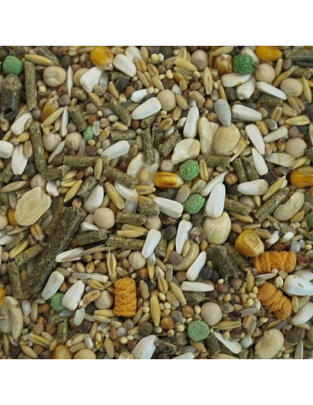 GALIAN COGASA MIXTURA HAMSTER Y ARDILLAS GALIAN 4 KG 20 KG 800 GR (BOLSA) 800 GR (CUBO) - 2