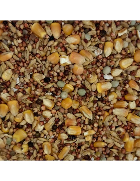 GALIAN COGASA MIXTURA CRIADERO CON MAIZ Nº2 - 20 KG 20 KG - 2