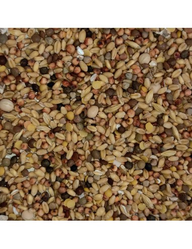 GALIAN COGASA MIXTURA CRIADERO SIN MAIZ PARA PALOMOS DEPORTIVOS - 20 KG 20 KG - 2