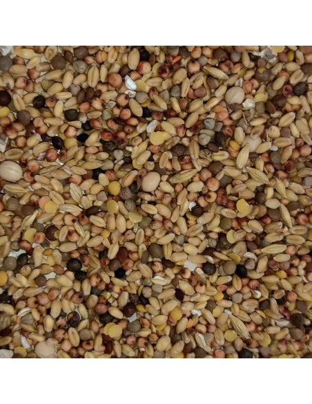 GALIAN COGASA MIXTURA CRIADERO SIN MAIZ PARA PALOMOS DEPORTIVOS - 20 KG 20 KG - 2