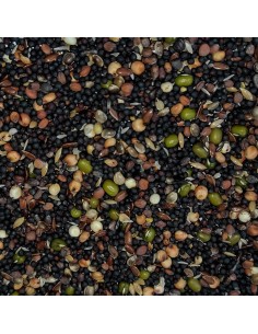 GALIAN COGASA MIXTURA PARA GERMINAR GALIAN - 20 KG - 2 2