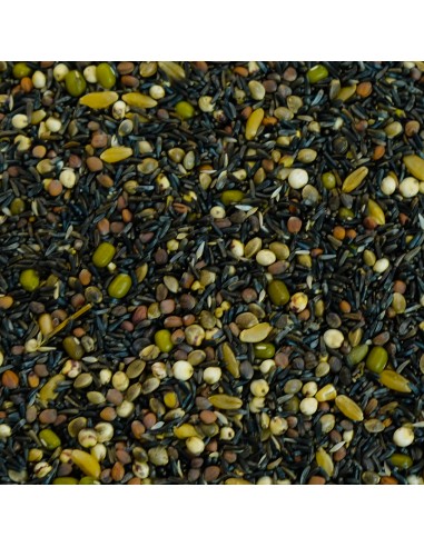 GALIAN COGASA MIXTURA PARA GERMINAR PROFESIONAL GALIAN - 20 KG