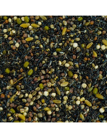 GALIAN COGASA MIXTURA PARA GERMINAR PROFESIONAL GALIAN - 20 KG