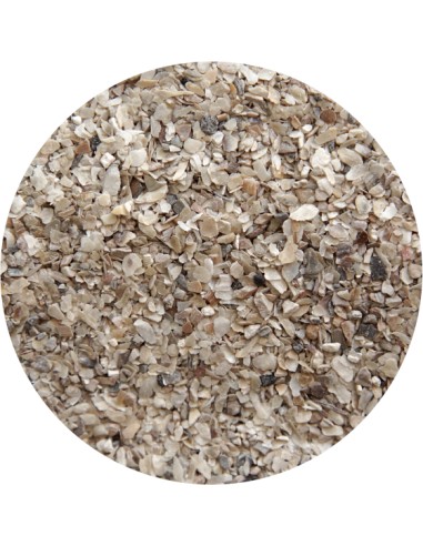 PET CUP CONCHILLA OSTRA FINA - 25 KG 25 KG