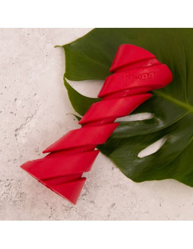 FROGG DUMBBELL JUGUETE MORDEDOR PARA PERROS - 17,6 CM