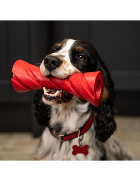 FROGG DUMBBELL JUGUETE MORDEDOR PARA PERROS - 17,6 CM