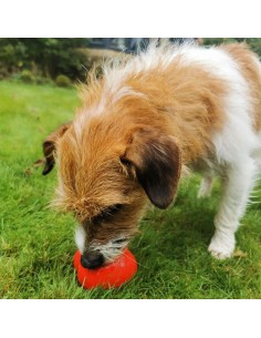 FROGG ROBERT ROJO JUGUETE MORDEDOR PARA PERROS - 7 CM 7 CM 2