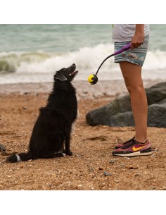 FRUBBA LANZADOR CON PELOTA SMILLE 2
