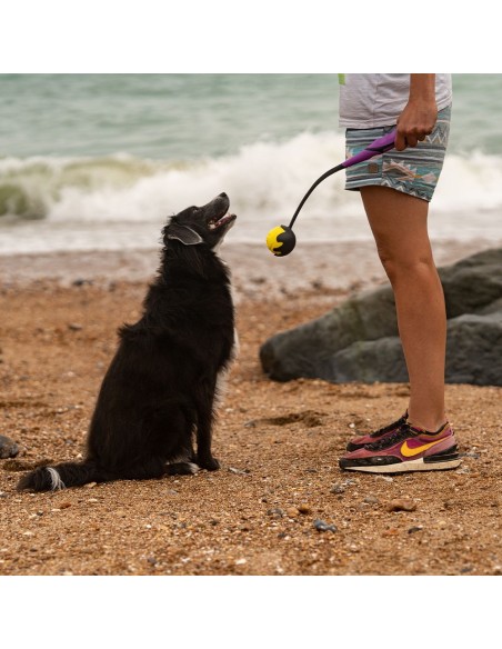 FRUBBA LANZADOR CON PELOTA SMILLE
