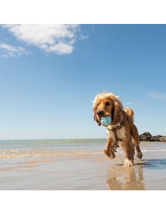 FRUBBA PACK 2 PELOTAS (IRREGULAR AZUL + DIAMANTE ROSA) 2