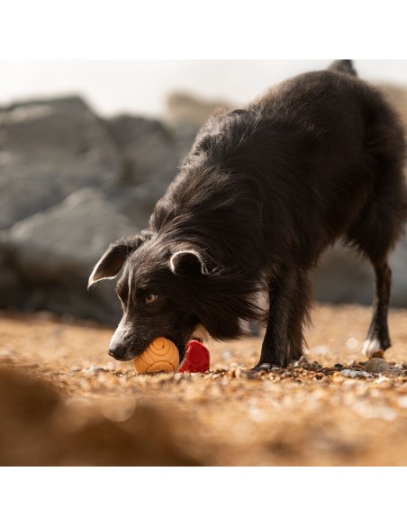 FRUBBA PACK 2 PELOTAS (IRREGULAR ROJA + PATITAS NARANJA)