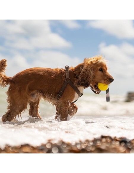 FRUBBA PELOTA PARA LANZAR CON LUZ