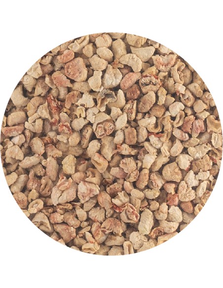 PET CUP LECHO DE MAZORCA DE MAIZ 2 KG 15 KG