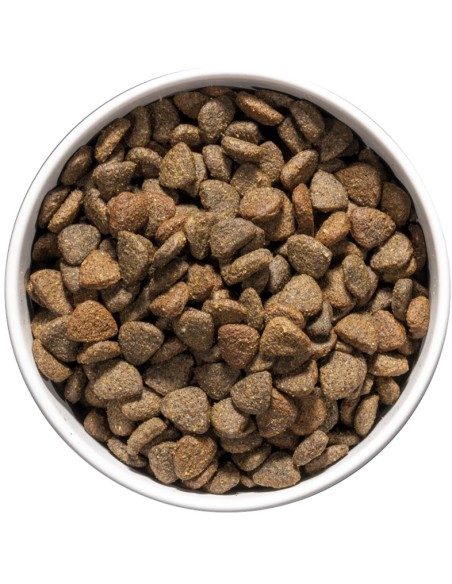 OWNAT CAR MOBILITY DOG 3 KG 10 KG - 4