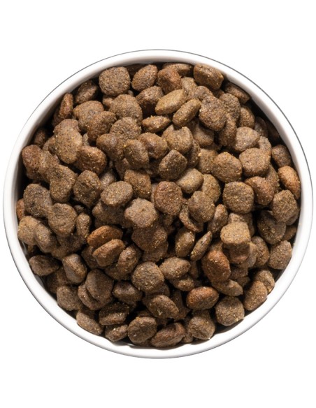 OWNAT CAR DIGESTIVE DOG 3 KG 10 KG - 4